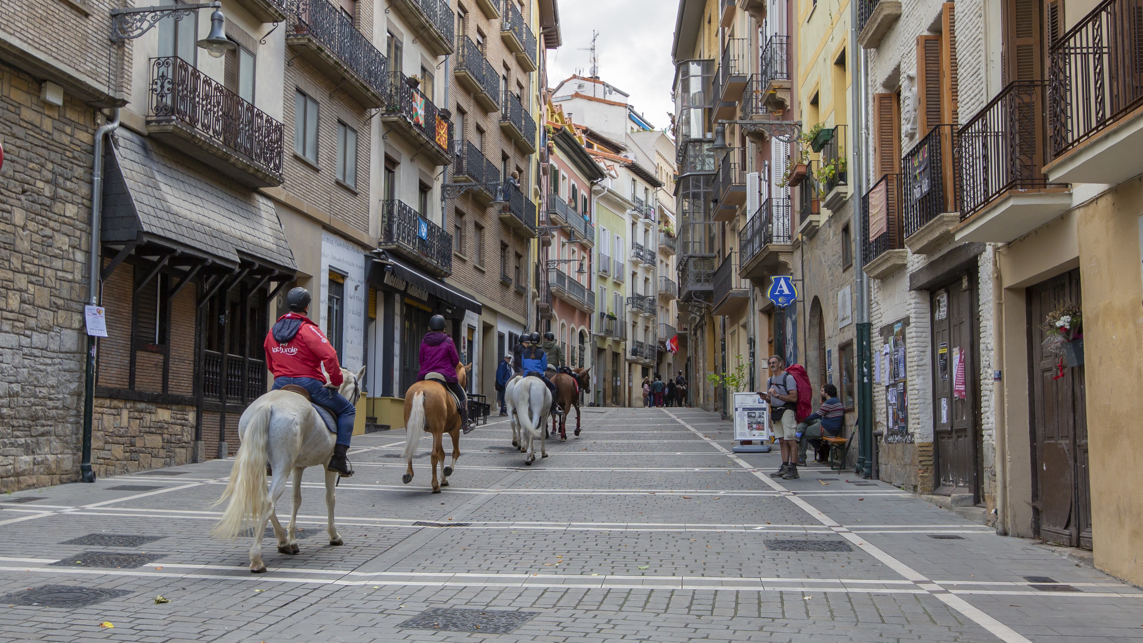 Gran Éxito de la Primera Concentración del Camino de Santiago a Caballo